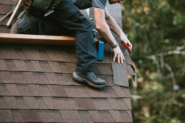Best Roof Gutter Cleaning  in South Corning, NY